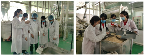 燕麥之香傳四方——青年紅色筑夢之旅中的技術交流與產(chǎn)業(yè)賦能